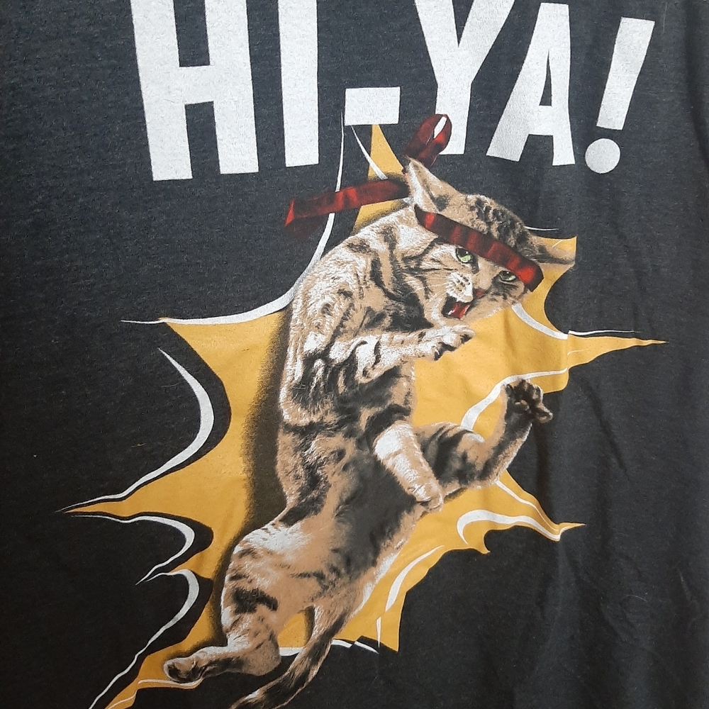 Kung Fu Kitty Hi-Ya Funny Tee Shirt